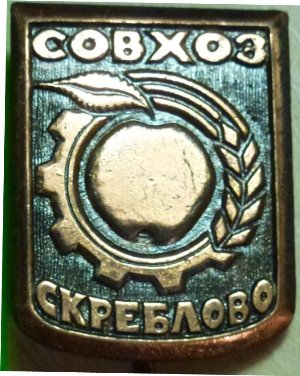 85185550.jpg