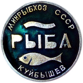 мр6.jpg