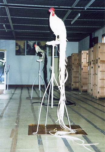 896991_original.jpg