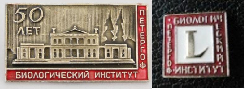 НИИПЕТ.jpg