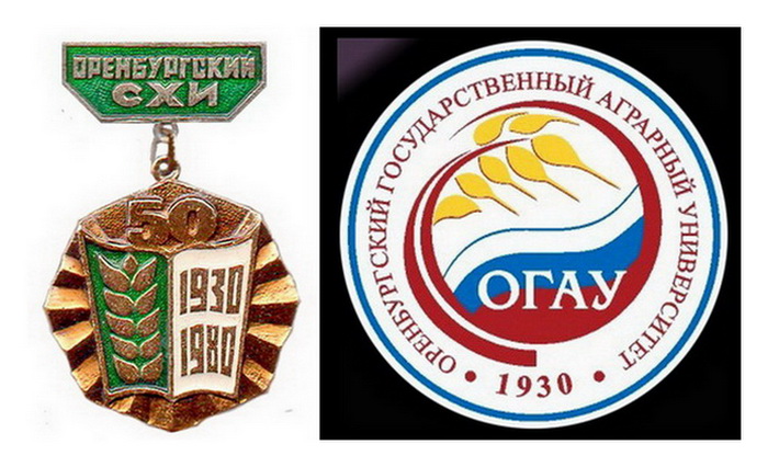 схи - огау.jpg