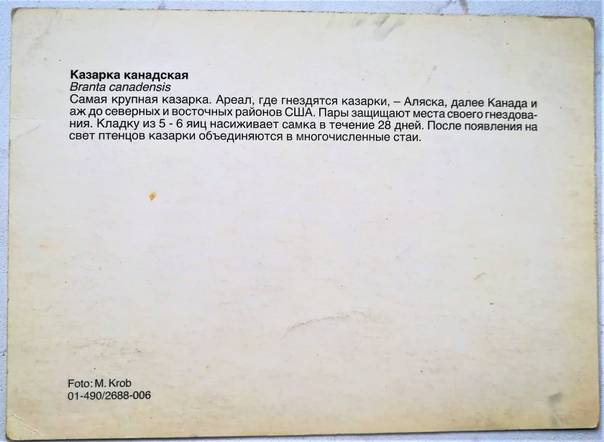 fp9gd-604.jpg
