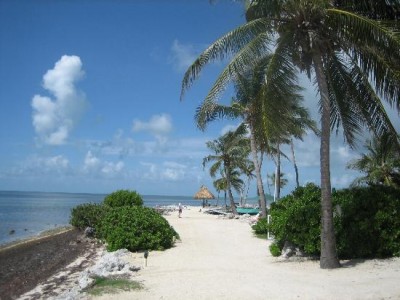 the-beach.jpg