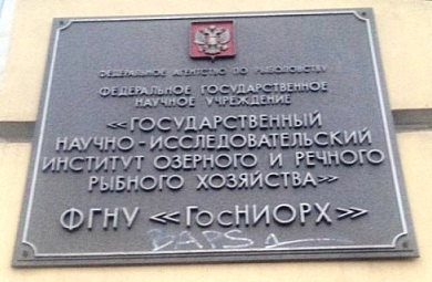 136.jpg