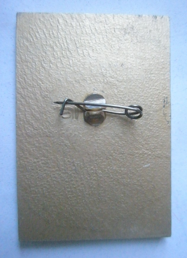 P1010004.JPG