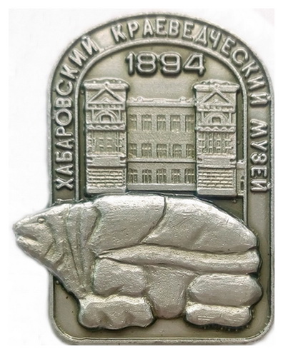4595.jpg