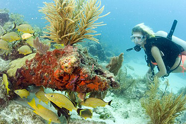 florida-keys-diving.jpg