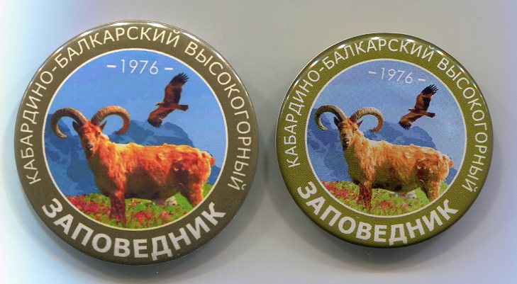 img451.jpg