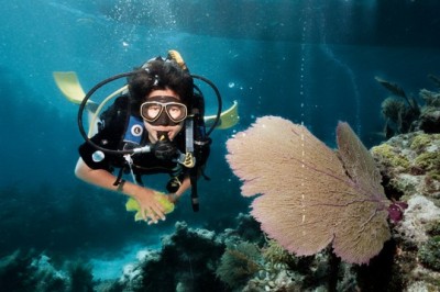 diver_good_release.jpg