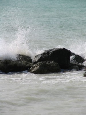 Florida_Keys_beach_rocks.jpg