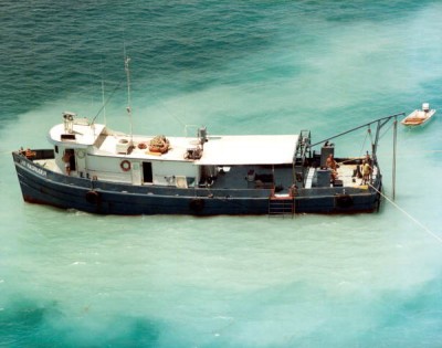 dm1085.jpg
