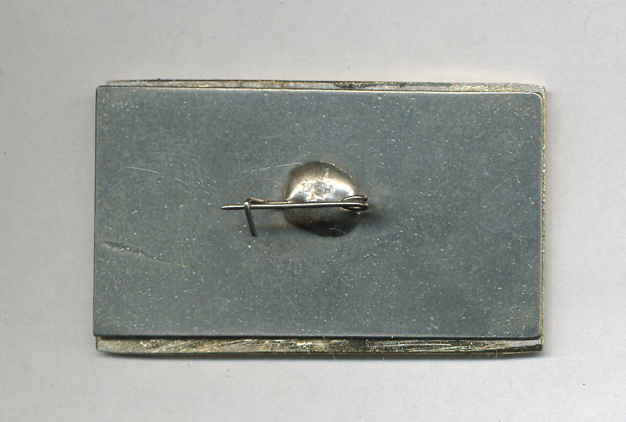 им. Бочкина, реверс.jpg