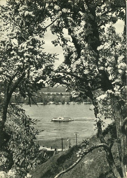 Киев 1954. Зак. 616. На Днепре а.jpg