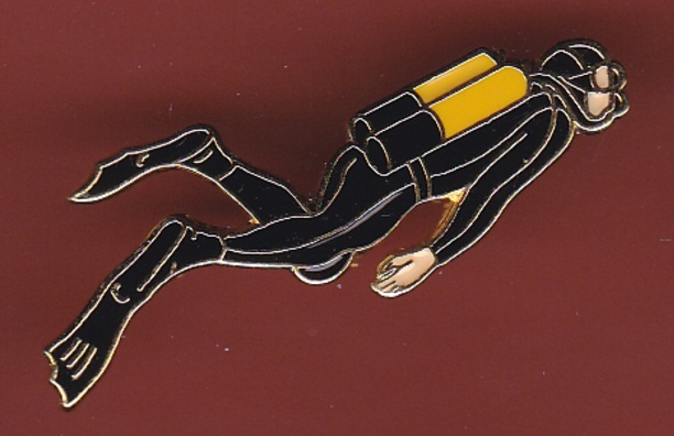 535.jpg