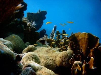 fl8.jpg