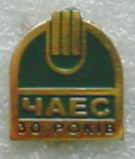 DSC00061чаэс10.JPG