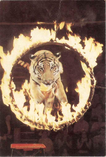 Цирк 1985. Зак. 143 а.jpg