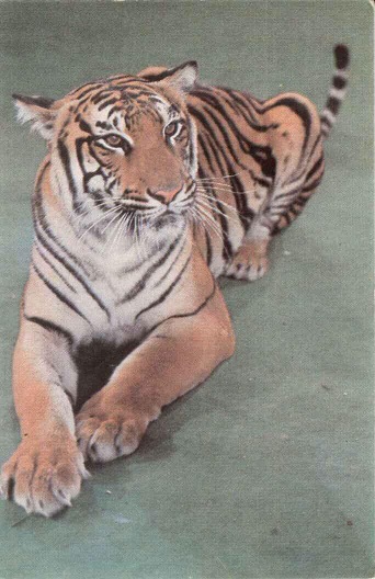 Цирк 1989. Зак. 2029 а.jpg