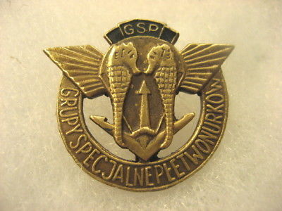 Poland-Polish-NAVY-Badge-Special-Diver-Group-Pin.jpg