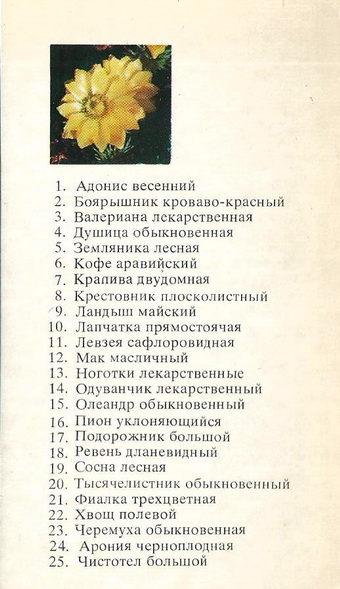3247.jpg
