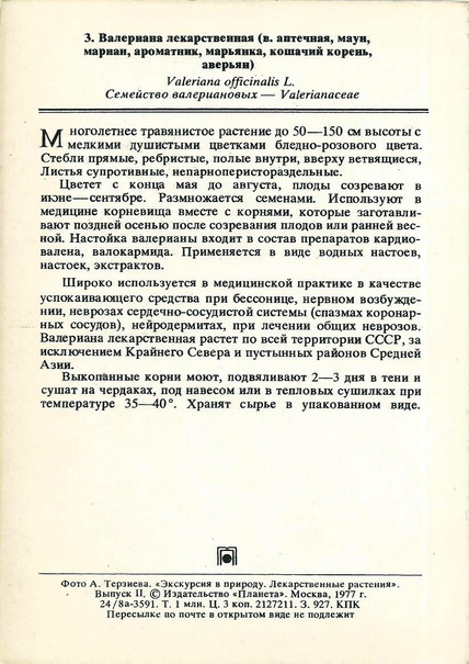 3254.jpg