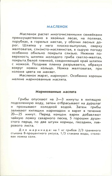 04 Масленок р.jpg