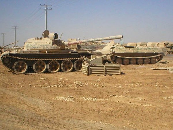 scale_6008.jpg