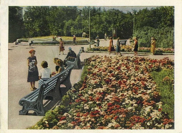 3553.jpg