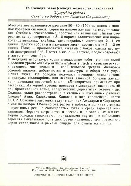 12 Зеленая аптека. Вып. 4. Солодка голая (солодка железистая, лакричник) р.jpg