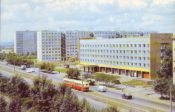 3950.jpg
