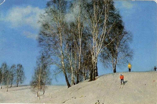 Природа 1979. Зимний день а.jpg