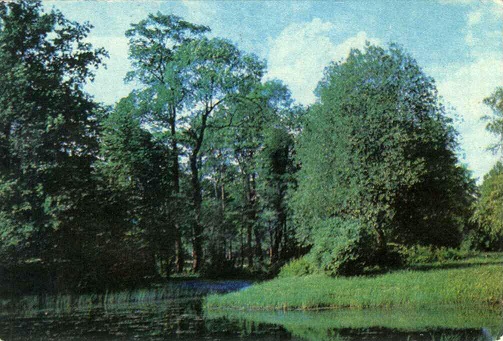 Природа 1979. Лесная речка а.jpg
