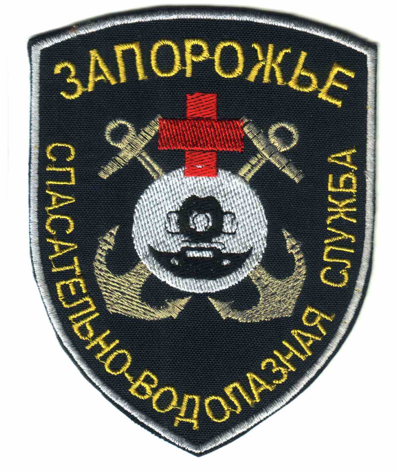 49797204.jpg