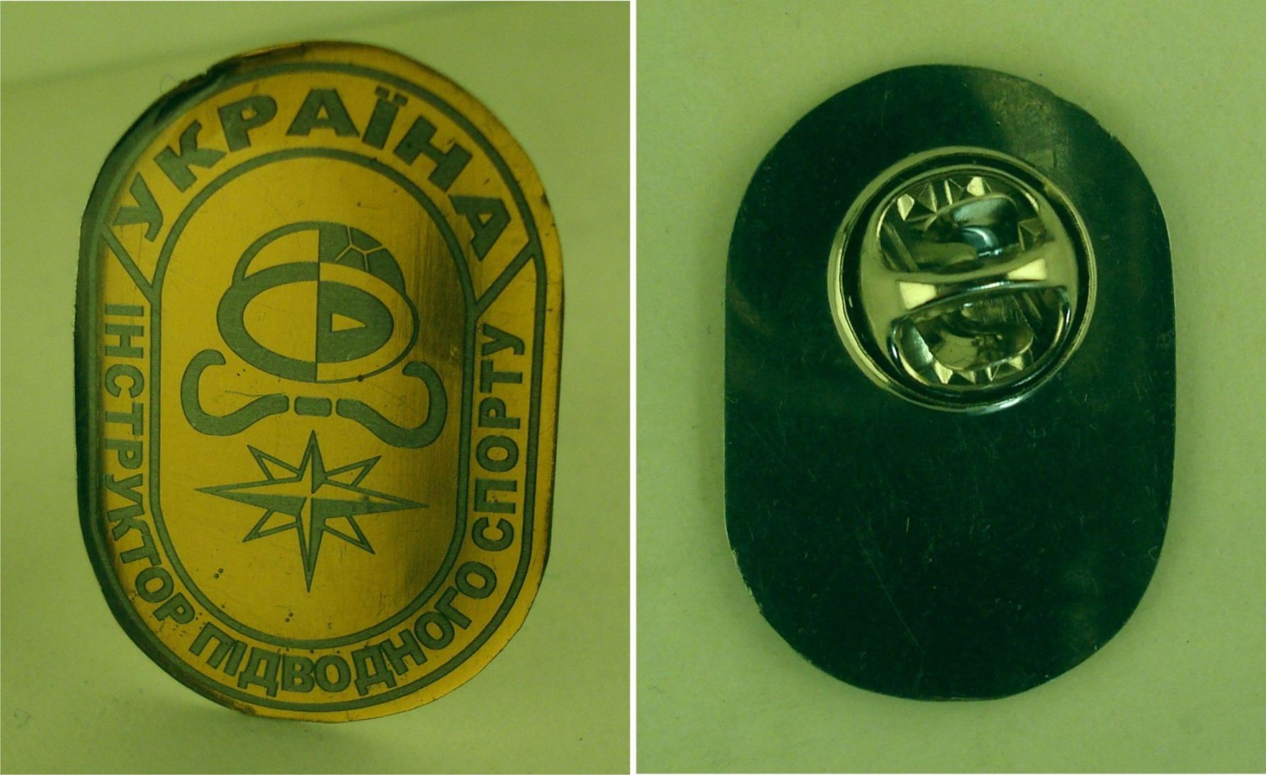 fff81005862c3b57.jpg
