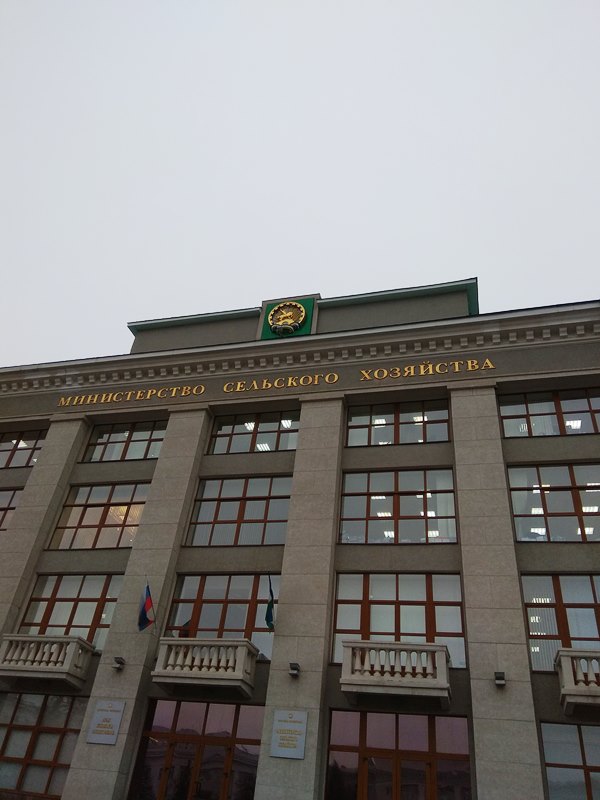 IMG_20181119_160457.jpg