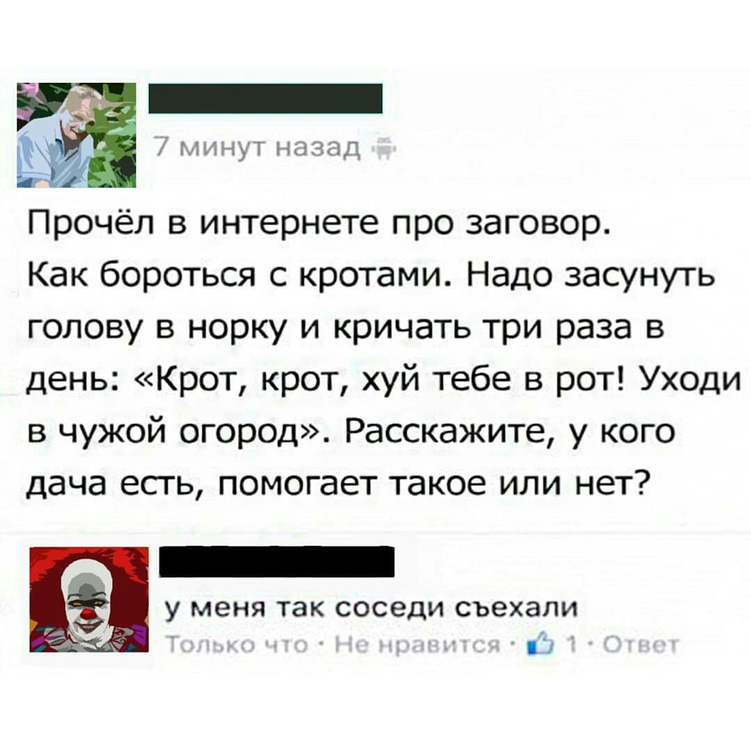 obosraka_BqXyikdF9Lj.jpg.e602de0f71a18f1736b2d4f7f69d320f.jpg