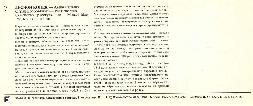07 В мире птиц 1979. Лесной конек р.jpg