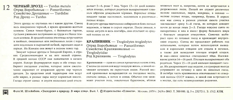 12 В мире птиц 1979. Черный дрозд, крапивник р.jpg