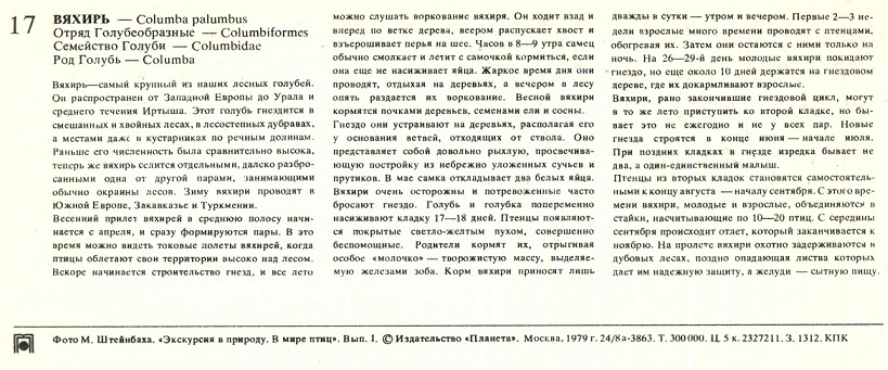 17 В мире птиц 1979. Вяхирь р.jpg
