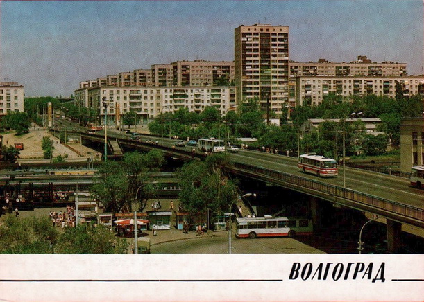 2007.jpg