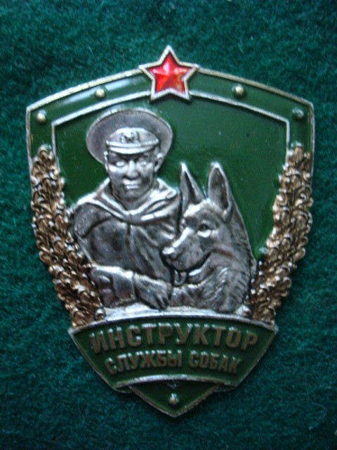 DSC08987.JPG