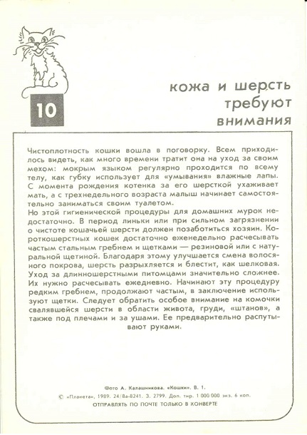 10 Кошки 1989. Зак. 2799. Кожа и шерсть требуют внимания р.jpg