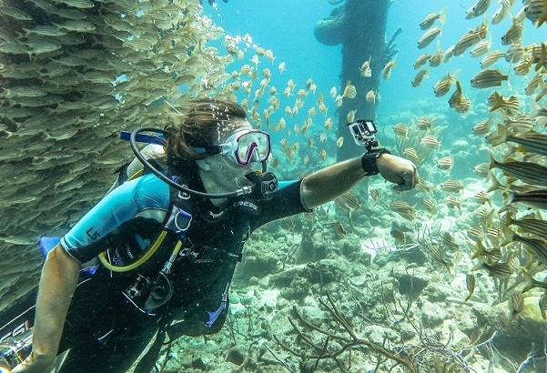 Diving-Bonaire-Salt-Pier-11.jpg