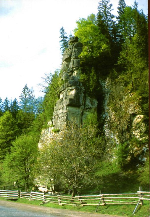 img613.jpg