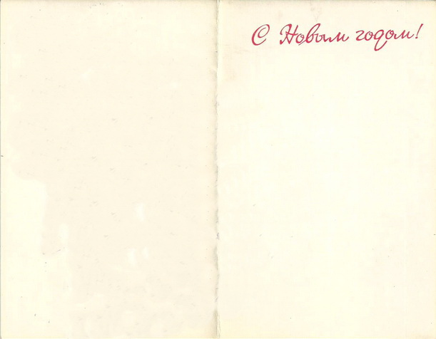 95.jpg