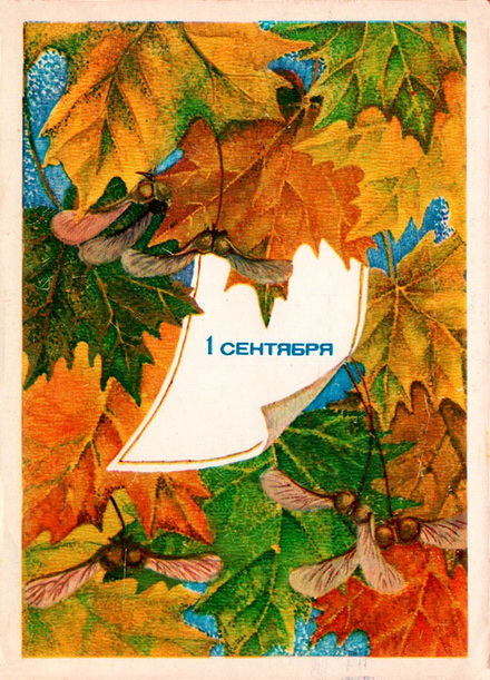 96.jpg