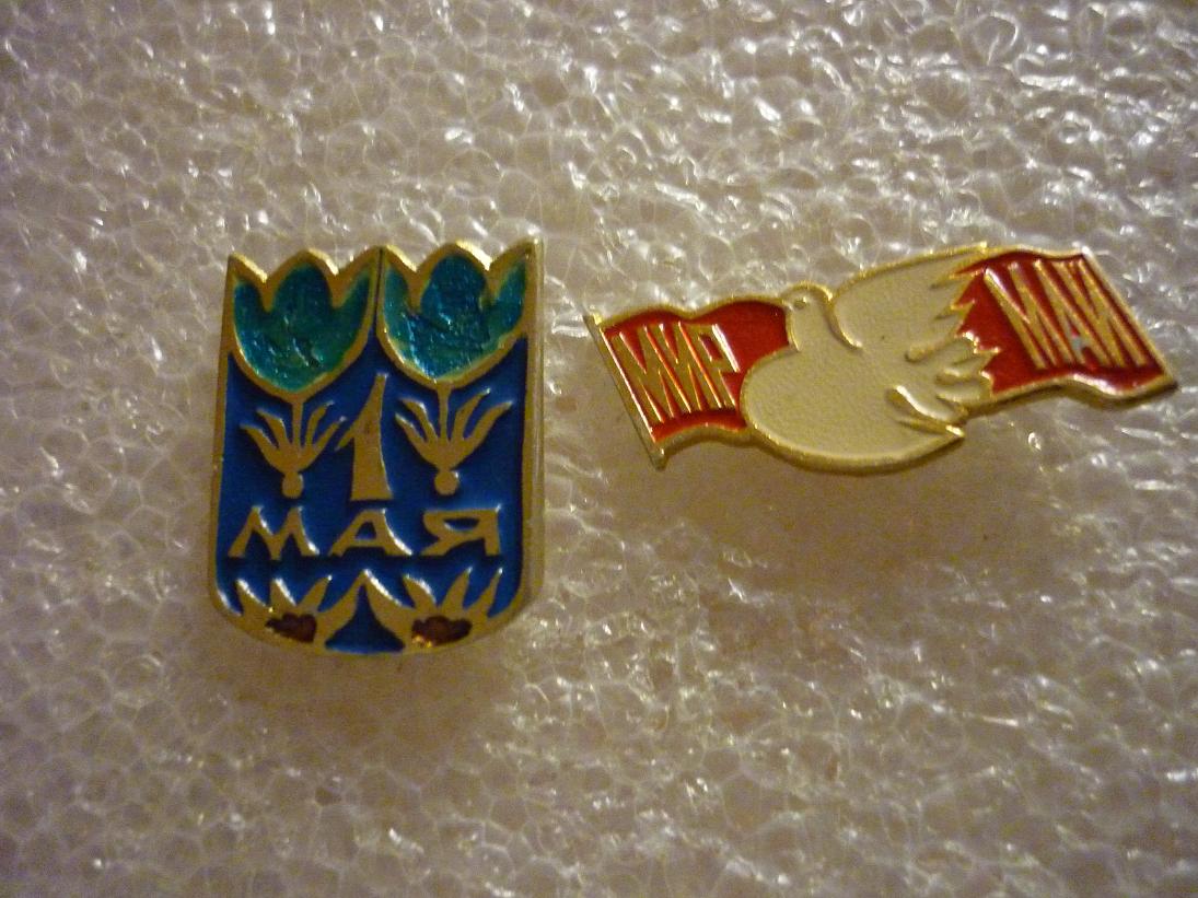 P1200235.JPG