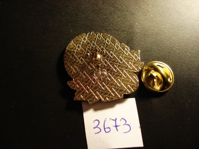 DSC08815.JPG