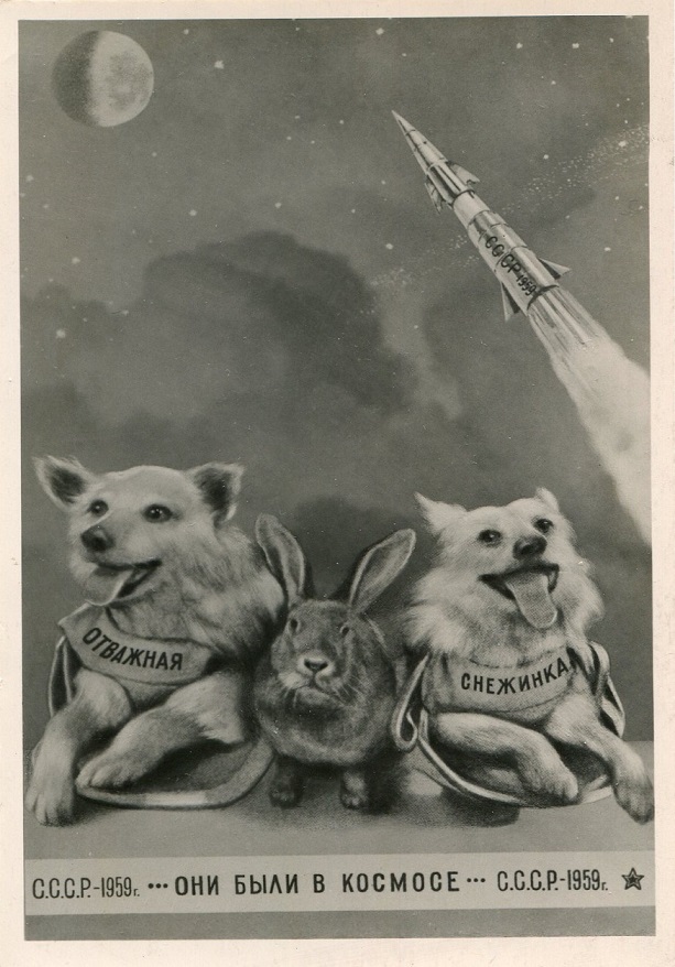 Собаки в космосе003.jpg