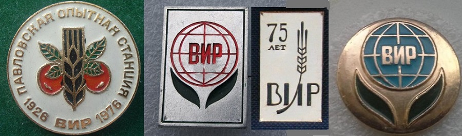 ВИР павловск.jpg